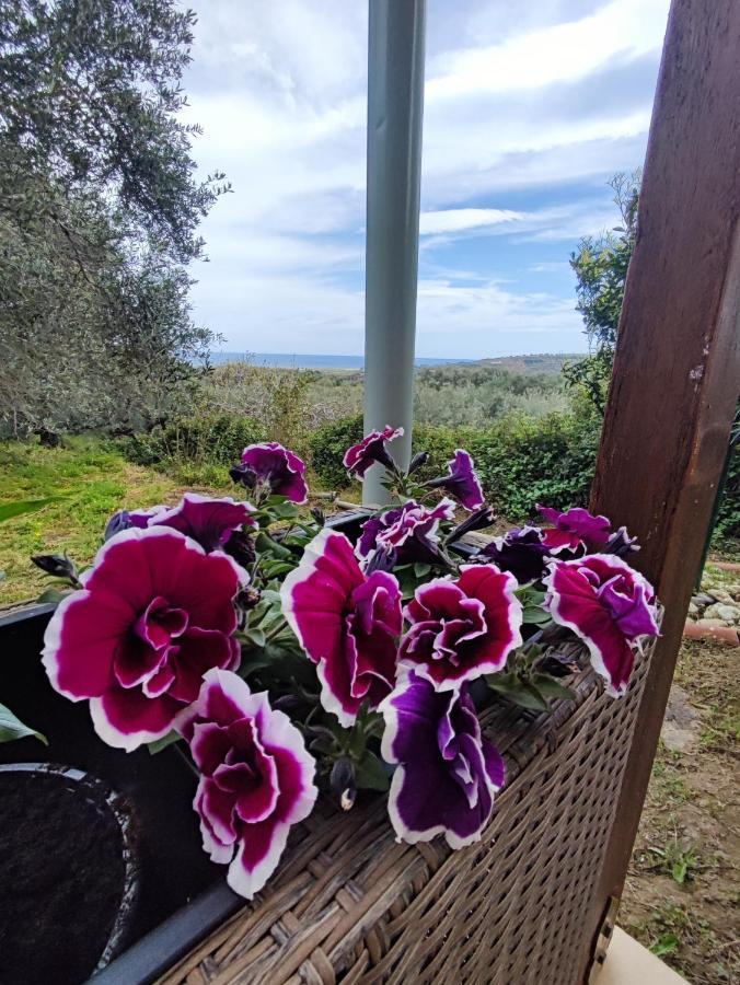 Anatolika Stamatis Paradise Dempla Экстерьер фото